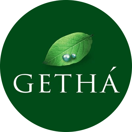 GB brand logo